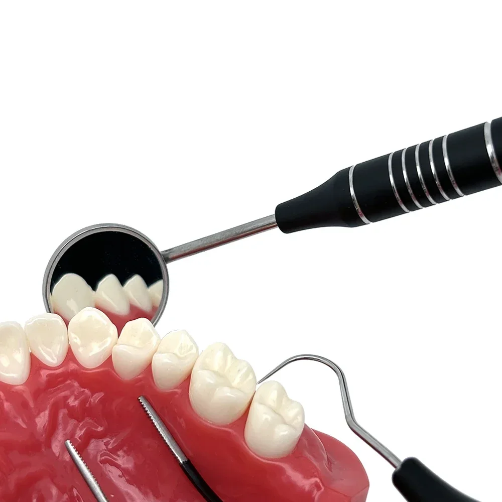 歯科検査セット ステンレス製 3点セット ミラー ピンセット - Dental Mirror Probe のレビューと価格