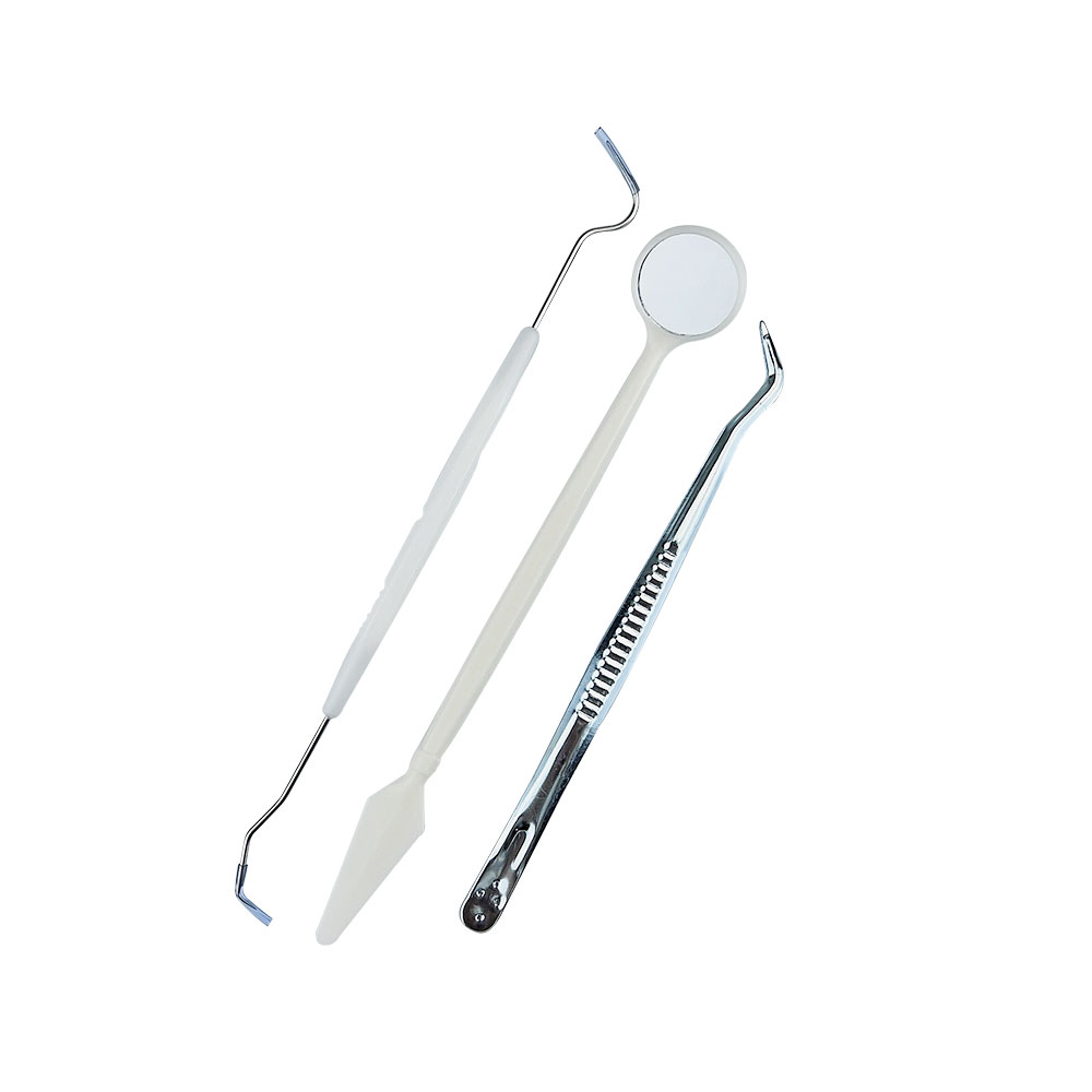 10袋入り歯科ツールキット ステンレス鋼製検査器具 使い捨て - Dental Mirror Probe のレビューと価格